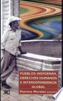 libro Pueblos Indígenas, Derechos Humanos E Interdependencia Global